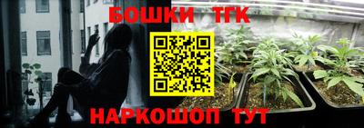 ешки Партизанск