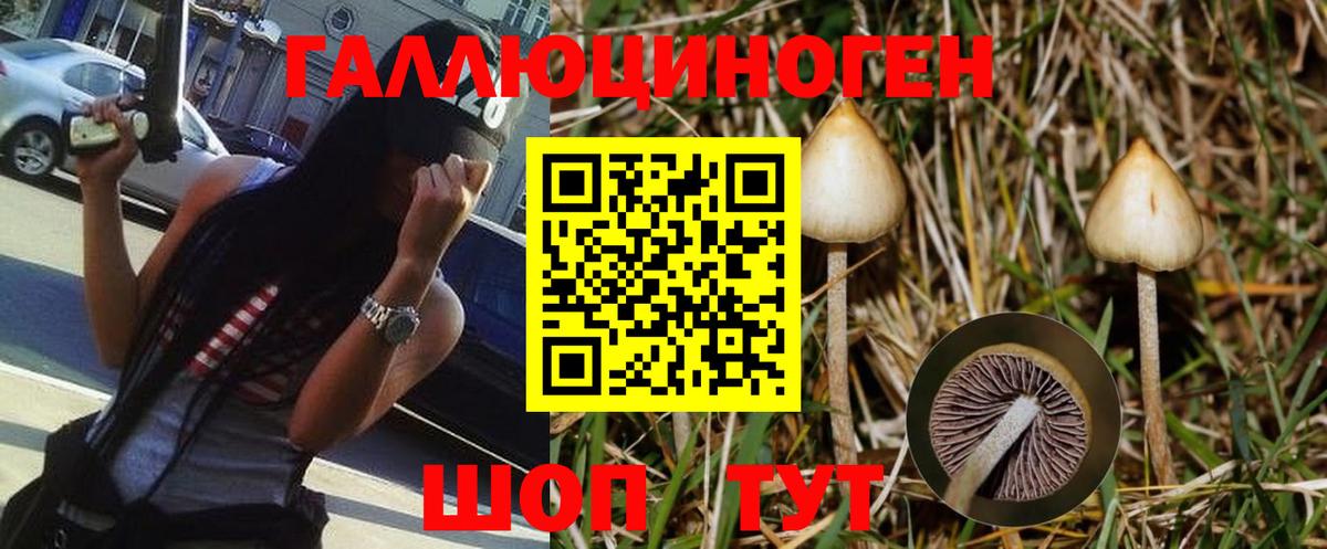 Псилоцибиновые грибы Cubensis Ступино